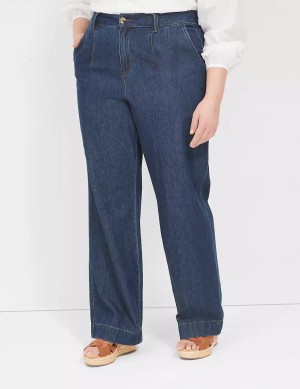 Dark Blue Lane Bryant Dressy Women Jeans | FTV9799GJ