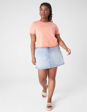 Orange Lane Bryant Crop Crew-Neck Washed Tee Women T Shirts | TQL9246LG