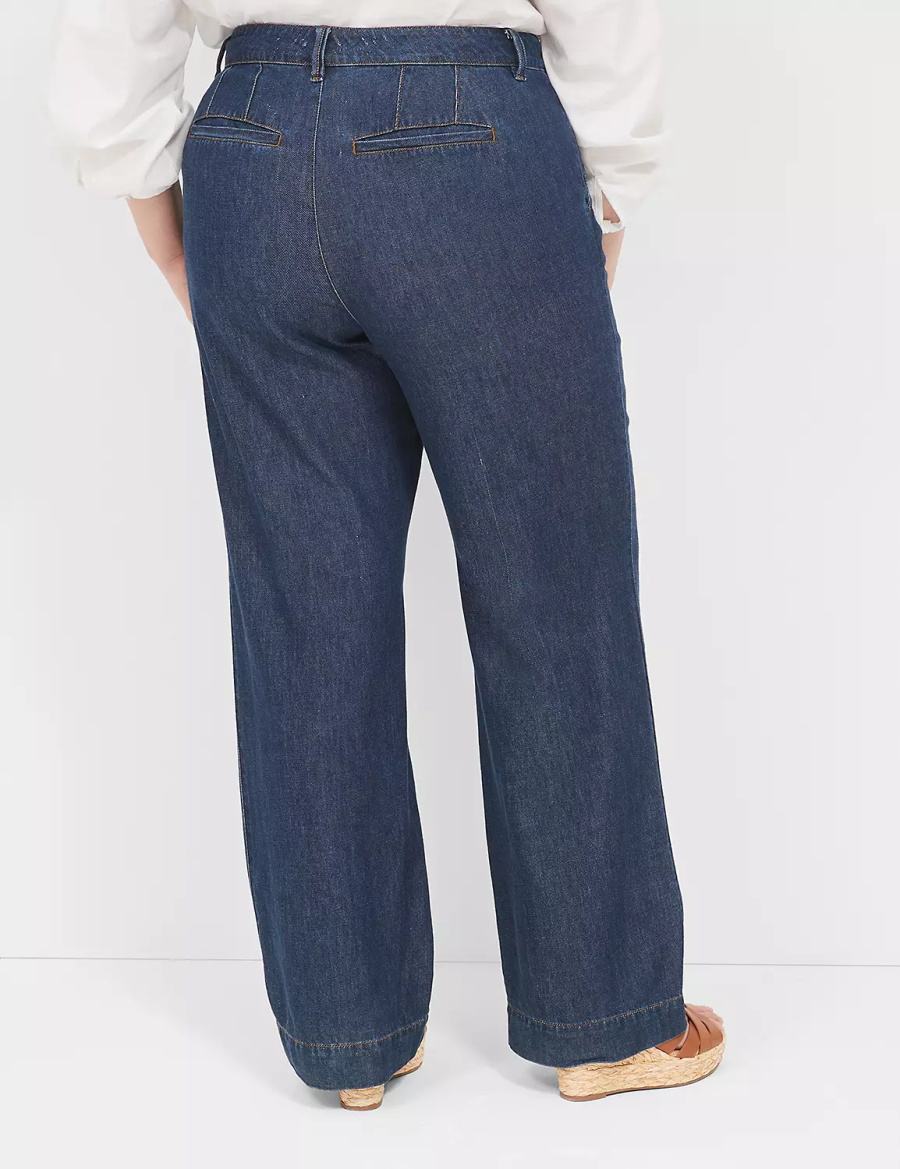 Dark Blue Lane Bryant Dressy Women Jeans | FTV9799GJ