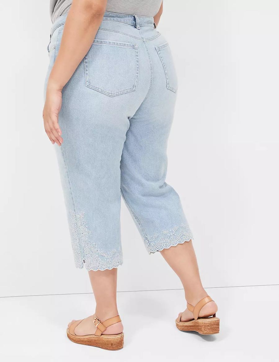 Light Blue Lane Bryant Boyfriend Fit Capri With Embroidery Women Jeans | LYP7370QU