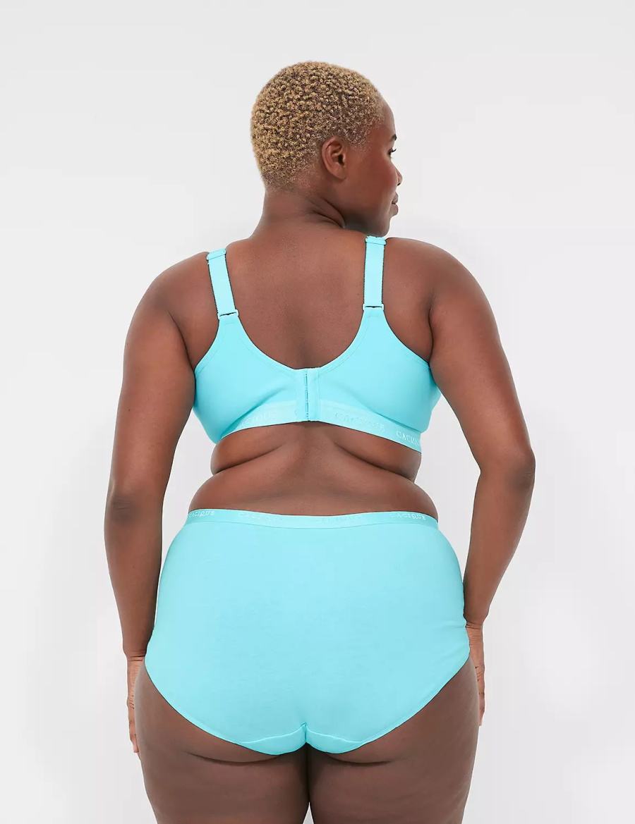 Turquoise Lane Bryant Cotton Full With Lace Trim Women Briefs | XGW7519RI